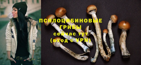прущая мука Нефтекумск