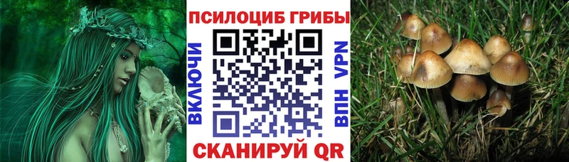 Псилоцибиновые грибы мицелий  Старица 